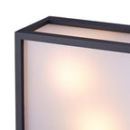 M8378 Utah Outdoor 2 Light Ceiling Light Graphite
