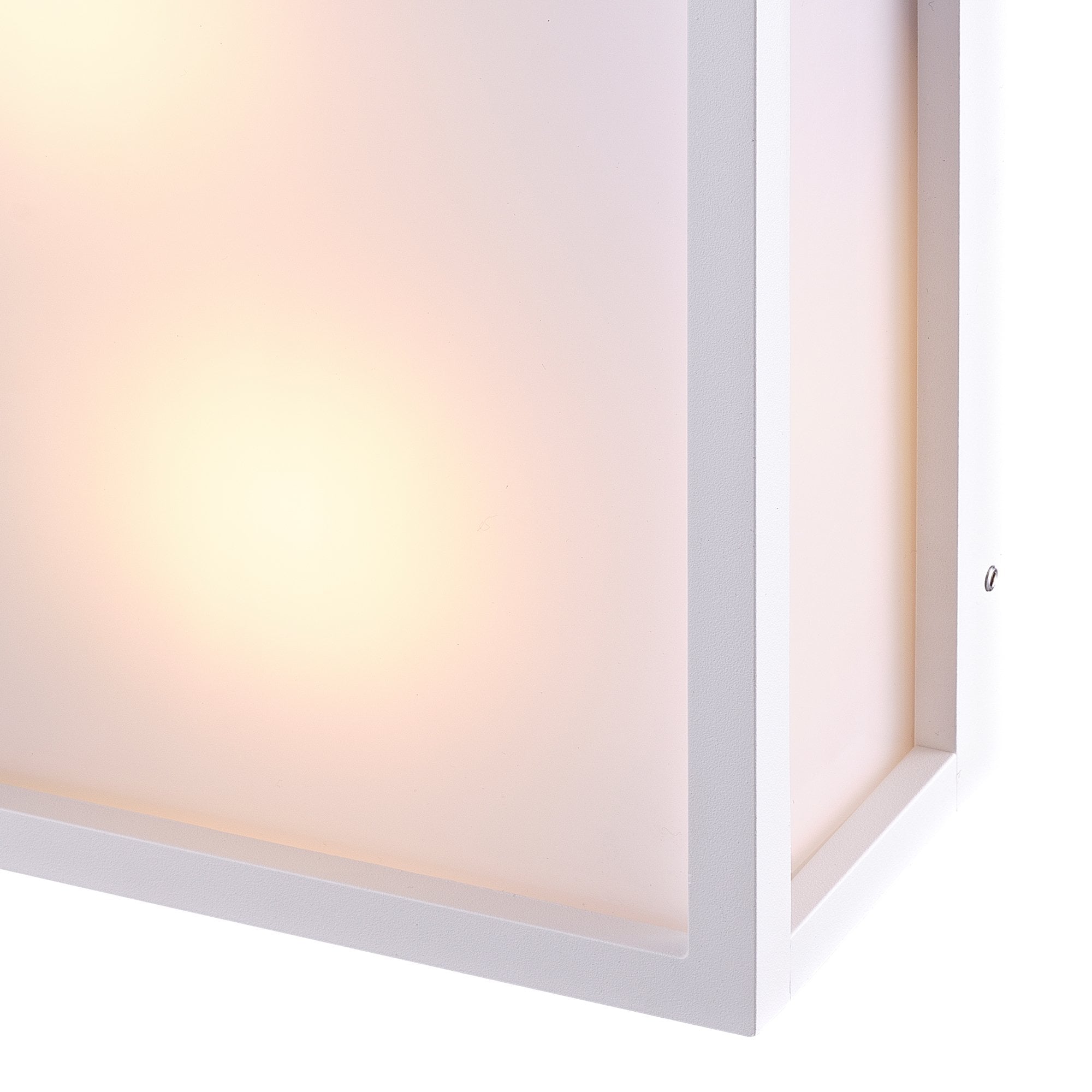 M8379 Utah Outdoor 2 Light Ceiling Light White