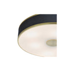 ALV6423 Alvaro 6 Light Flush Brushed Brass With Blue shade