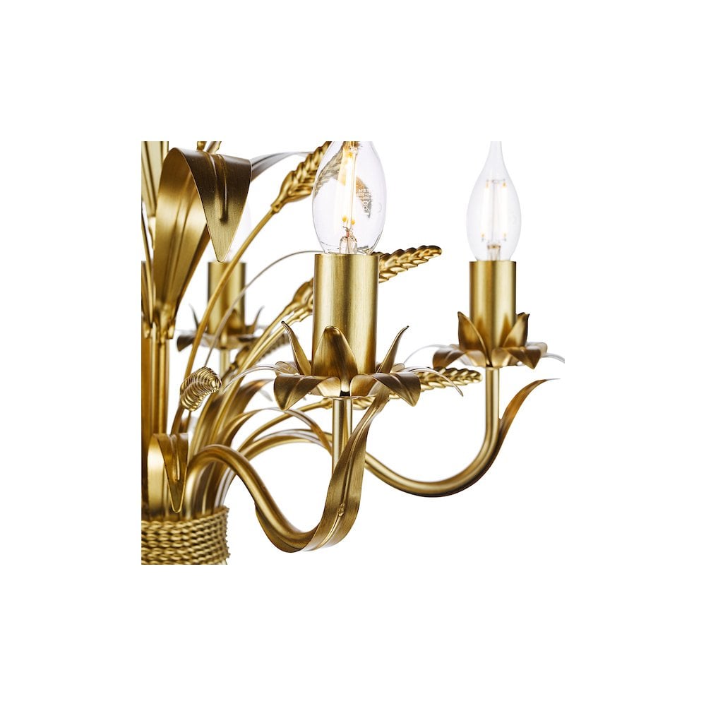 PHA0535 Phaedra 5 Light Pendant Gold