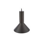 RAG0122 Ragnar Pendant/Wall Light Satin Black