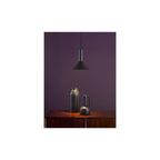 RAG0122 Ragnar Pendant/Wall Light Satin Black