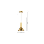 RAG0140 Ragnar Pendant/Wall Light Natural Brass