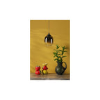 RAM0722 Ramona Pendant/Wall Light Matt Black Ombre Glass LED