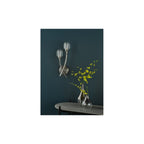 ZON0938 Zonda 2 Light Wall Light Brushed Nickel and Crystal