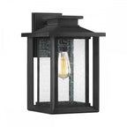 QZ-WAKEFIELD-M-TBK Wakefield 1 Light Outdoor Medium Wall Lantern Earth Black