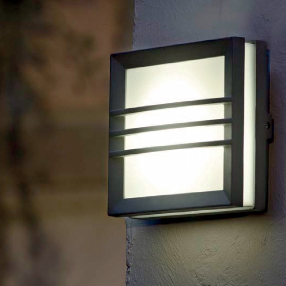 Egil Outdoor 1 Light Wall/Ceiling Lantern Graphite