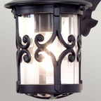 BL8-BLACK Hereford Outdoor Wall Down Lantern Black