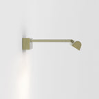 1371030 Renoir 1 Light LED Picture Light Matt Brushed Brass