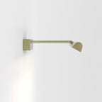 1371032 Renoir 1 Light LED Picture Light Matt Brushed Brass