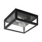 99122 Amezola 2-Light Caged Wall or Ceiling Light