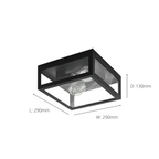 99122 Amezola 2-Light Caged Wall or Ceiling Light