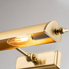 WINCHFIELD-PLM-AB Winchfield 2 Light Medium Picture Light Aged Brass