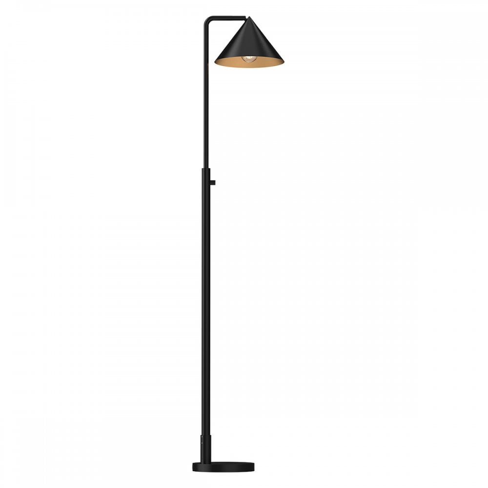 ALM-REMYCK-FL-BK Remyck 1 Light Floor Lamp Matte Black