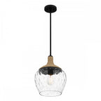 QZ-ROYER-1P-MBK Royer 1 Light Pendant Matte Black with natural rope detail and clear mottled blown glass shade