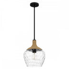 QZ-ROYER-1P-MBK Royer 1 Light Pendant Matte Black with natural rope detail and clear mottled blown glass shade
