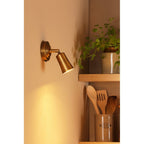 JED0742 Jedrek Single Spotlight Aged Brass