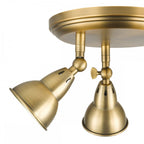NAT7642 Nathaniel 3 Light Plate Spotlight Aged Brass