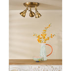 NAT7642 Nathaniel 3 Light Plate Spotlight Aged Brass