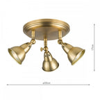 NAT7642 Nathaniel 3 Light Plate Spotlight Aged Brass