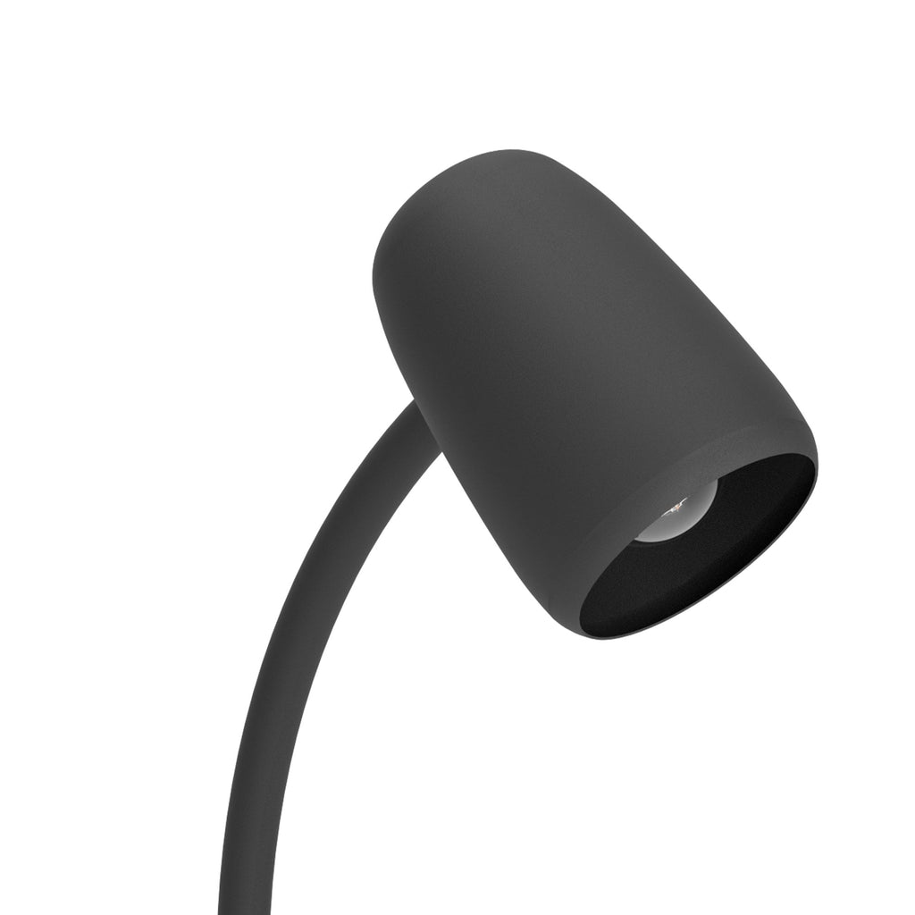 901828 Carlo Modern Steel Flexible Desk Lamp Black