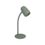 901831 Carlo Modern Steel Flexible Desk Lamp Green