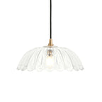 120750 Eltham & Carnation Pendant Clear Glass & Brushed Aged Brass With Black Braided Cable