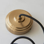 120750 Eltham & Carnation Pendant Clear Glass & Brushed Aged Brass With Black Braided Cable