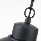 COPENHAGEN8-BK Copenhagen 1 Light Chain Lantern Black