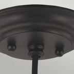 DL-MATRIMONIO1MP Matrimonio 1 Light Mini Pendant Driftwood / Dark Weathered Zinc