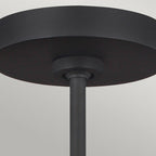 FE-ASHER-5P-MB Asher 5 Light Pendant Midnight Black & Gold