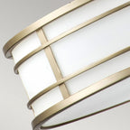 FE-FUSION-P-L-PNBR Fusion 3lt Large Pendant Painted Natural Brass