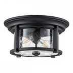 FE-MERRILL-F-BLK Merrill 2 Light Flush Black