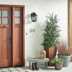 KL-TANGIER2-M Tangier 1 Light Medium Wall Lantern Olde Bronze