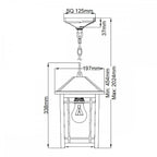 QZ-CEDAR-POINT8-M-BK Cedar Point 1 Light Chain Lantern Black