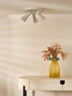 ARN7629 Arnel 3 Light Plate Spotlight Satin Taupe