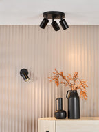 CAW0722 Cawley Single Spotlight Matt Black