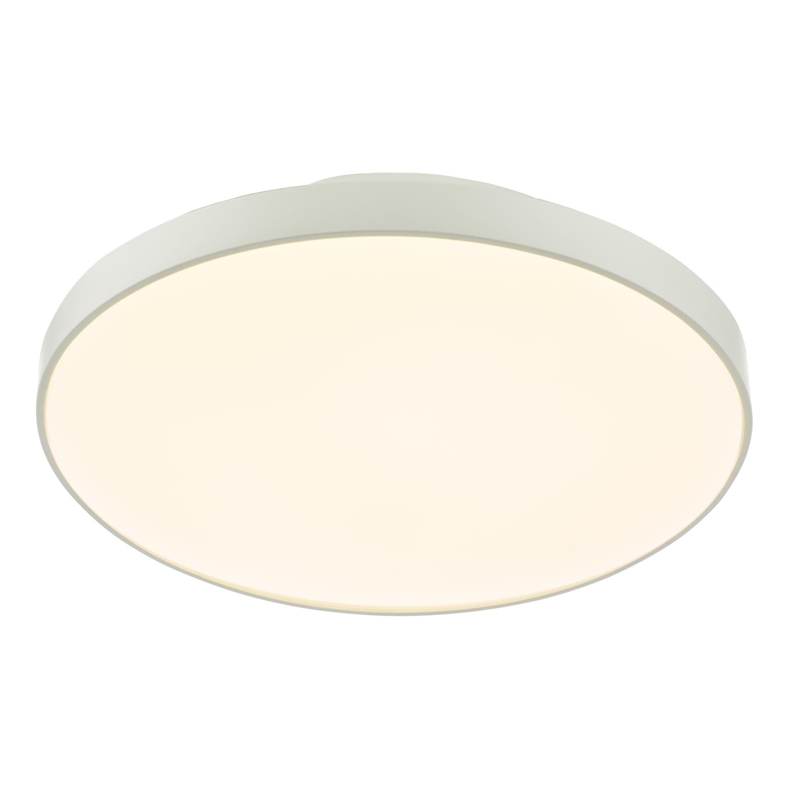 ESS5202 Essien Bathroom Ceiling Light White LED IP44