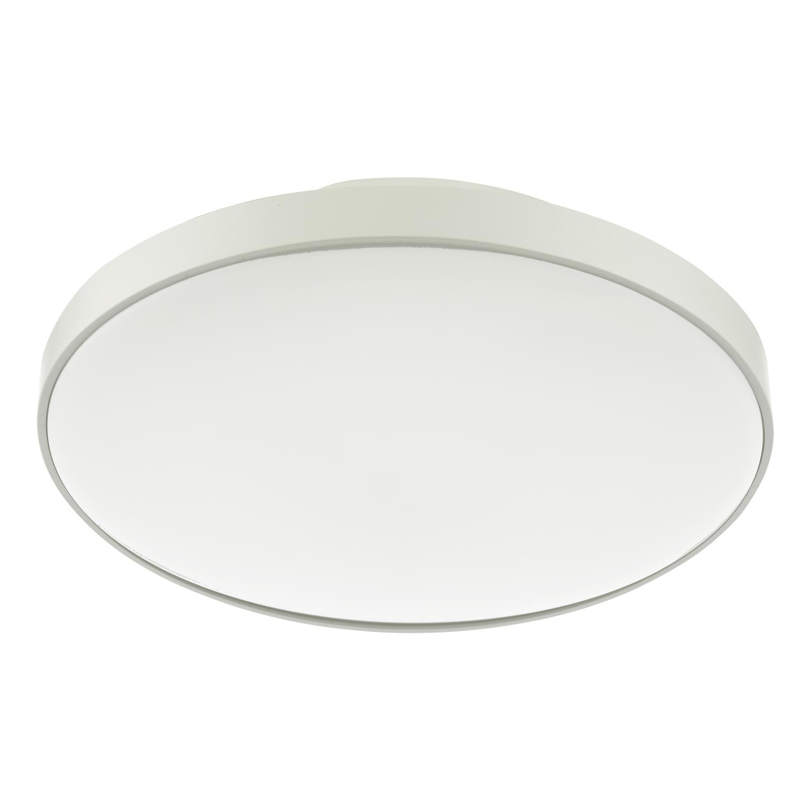 ESS5202 Essien Bathroom Ceiling Light White LED IP44
