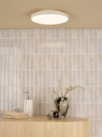 ESS5202 Essien Bathroom Ceiling Light White LED IP44