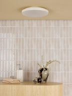 ESS5202 Essien Bathroom Ceiling Light White LED IP44