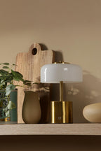 Lifestyle Images 2