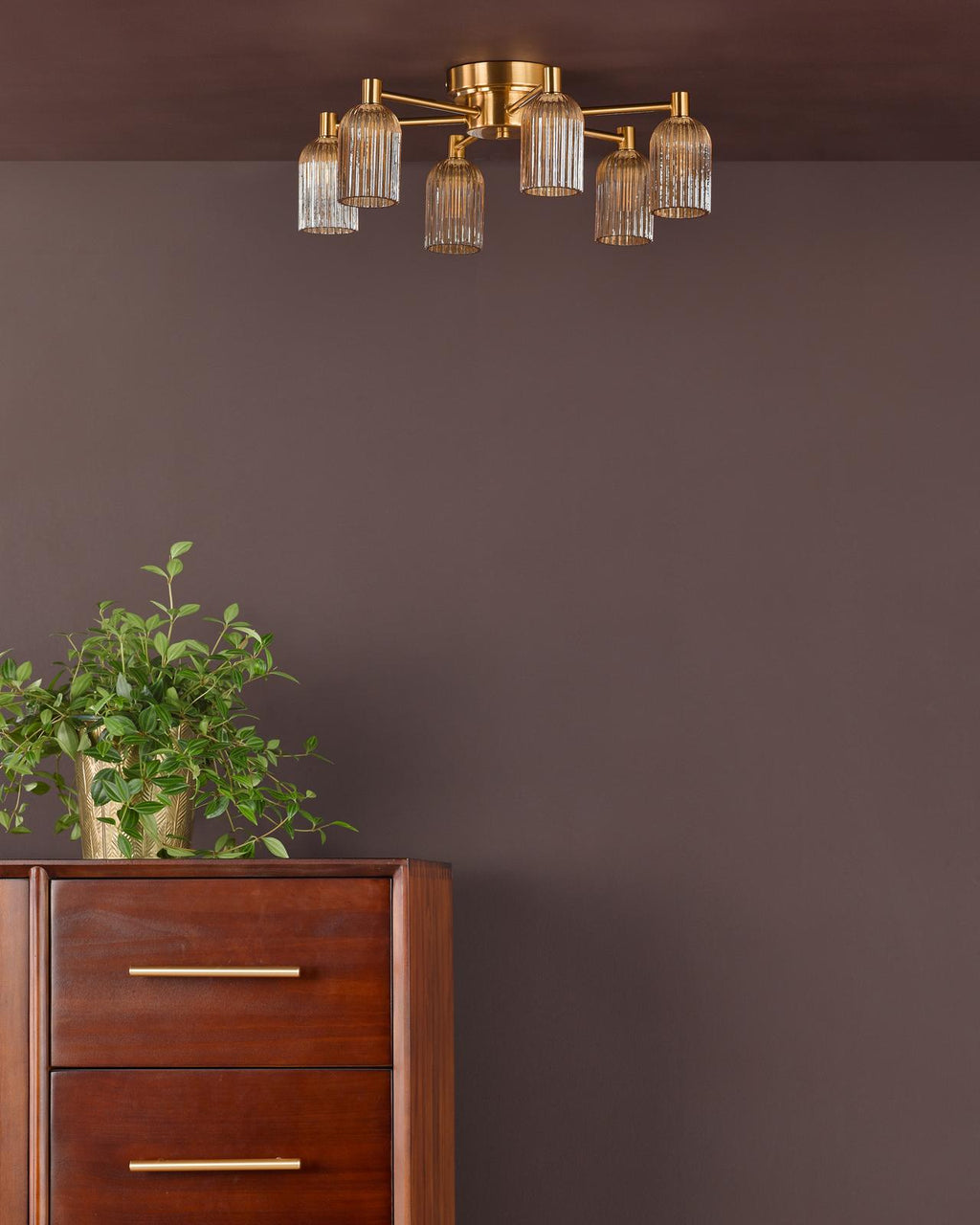 Lifestyle Images 2