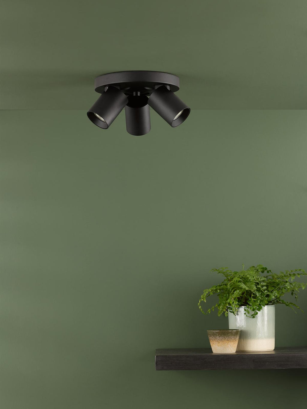 Lifestyle Images 2