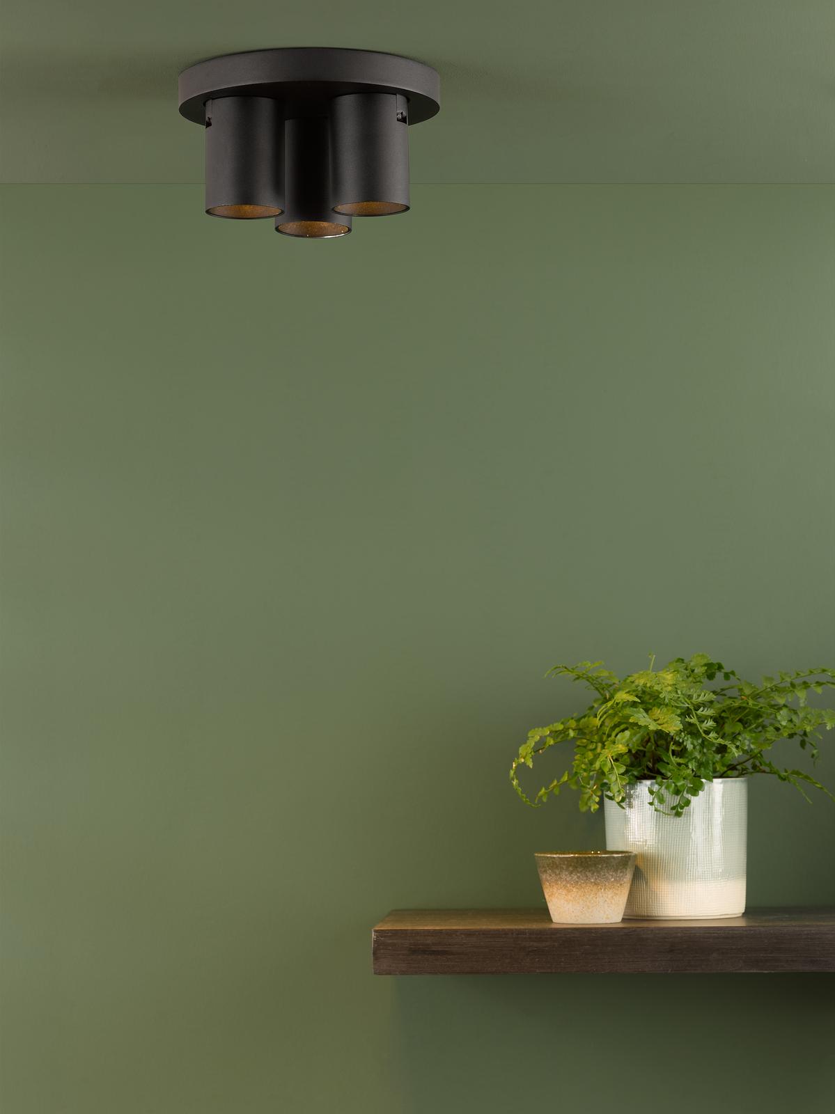 Lifestyle Images 3