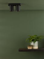 Lifestyle Images 3