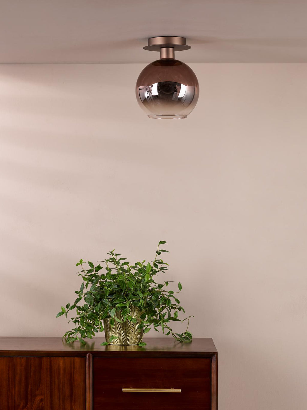 Lifestyle Images 2