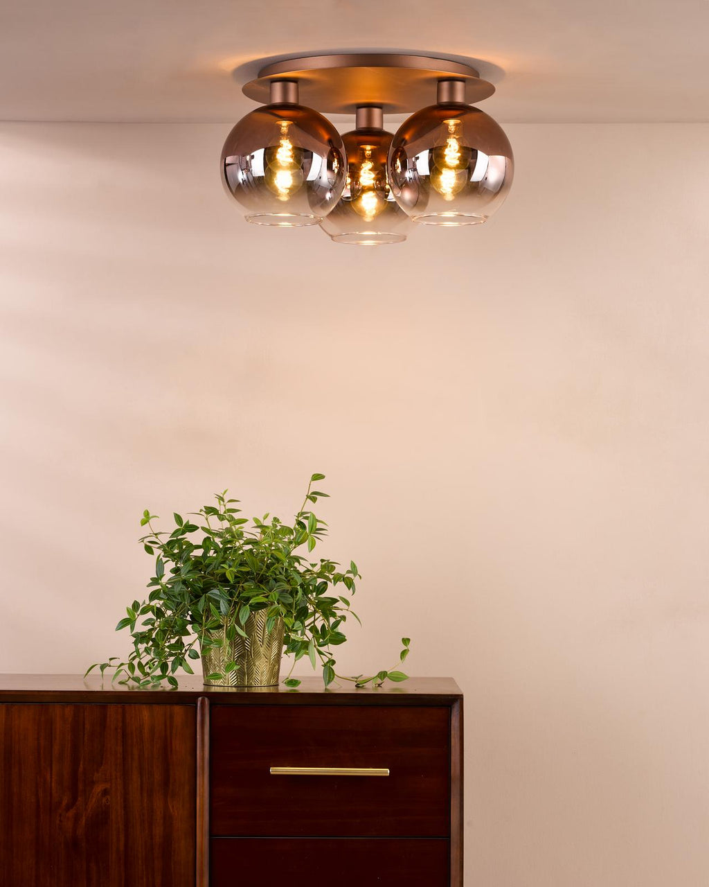 Lifestyle Images 1