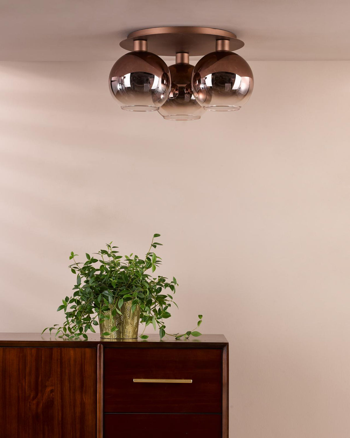 Lifestyle Images 2