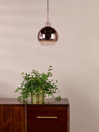 Lifestyle Images 2